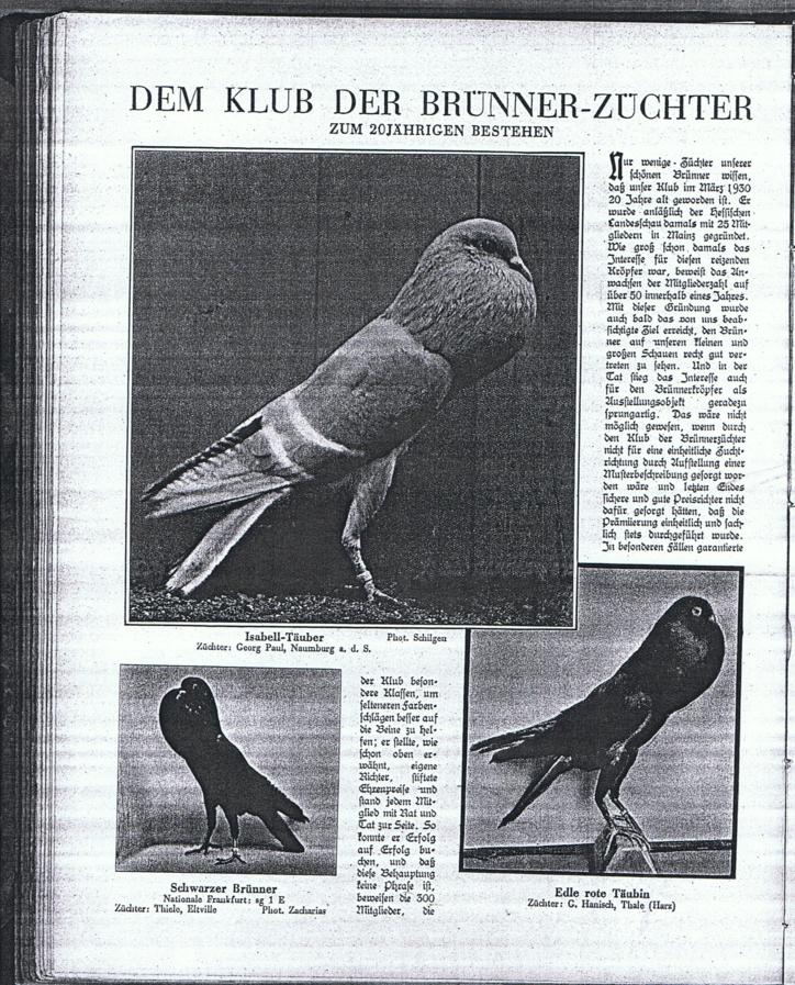 brünner, club 20 jahre - 3a 001_724x897
