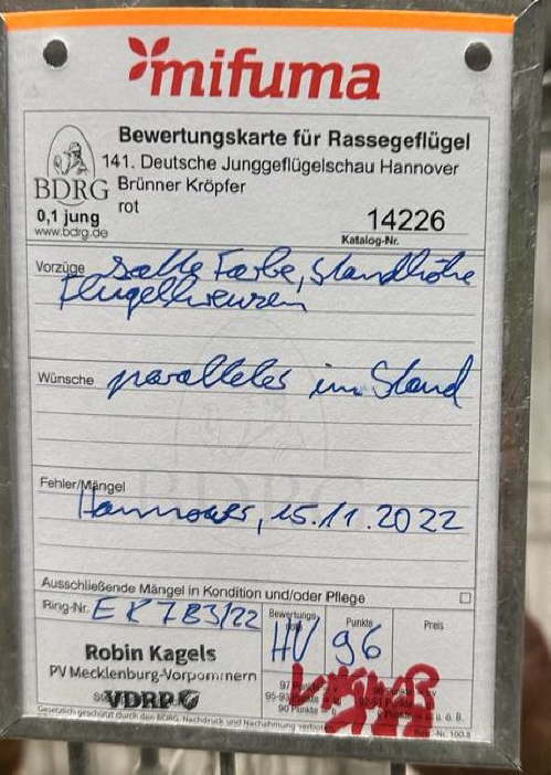 B 5-1 - Bewertung