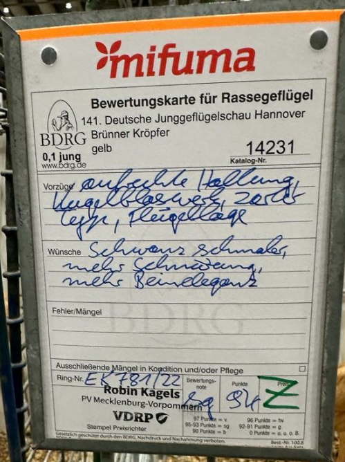 B 7-1 - Bewertung